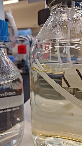 WhatsApp Image 2026-02-11 at 16.45.43