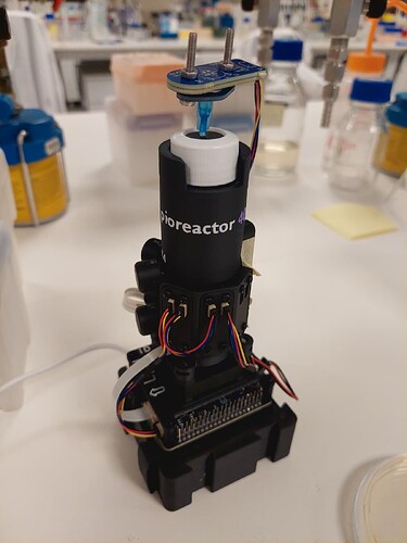 WhatsApp Image 2026-03-06 at 18.38.46